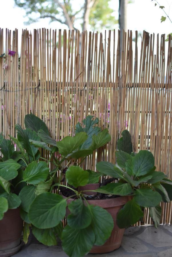Private Apartment At Guest House Hektor & Aferdita Vlorë 外观 照片