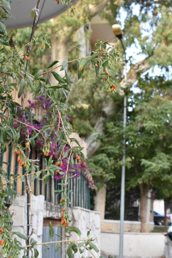 Private Apartment At Guest House Hektor & Aferdita Vlorë 外观 照片