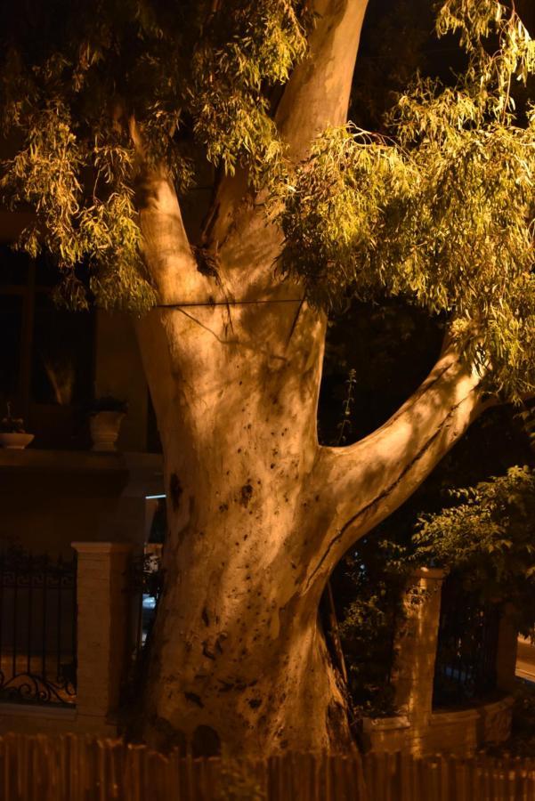 Private Apartment At Guest House Hektor & Aferdita Vlorë 外观 照片