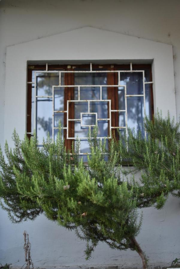 Private Apartment At Guest House Hektor & Aferdita Vlorë 外观 照片